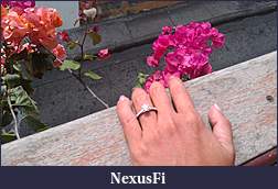 Click image for larger version

Name:	IMAG0019.jpg
Views:	240
Size:	1.30 MB
ID:	109573