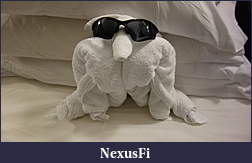 Click image for larger version

Name:	DSC04578.jpg
Views:	275
Size:	715.6 KB
ID:	125520