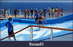 Click image for larger version

Name:	DSC04614.jpg
Views:	239
Size:	1.01 MB
ID:	125526