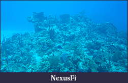 Click image for larger version

Name:	DSC04684.jpg
Views:	258
Size:	759.5 KB
ID:	125531