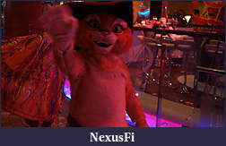 Click image for larger version

Name:	DSC04918.jpg
Views:	202
Size:	777.8 KB
ID:	125546