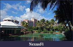 Click image for larger version

Name:	DSC05126.jpg
Views:	244
Size:	1.57 MB
ID:	125564