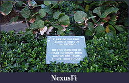 Click image for larger version

Name:	DSC05127.jpg
Views:	227
Size:	1.19 MB
ID:	125565