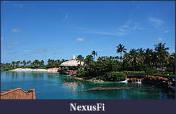 Click image for larger version

Name:	DSC05175.jpg
Views:	241
Size:	1.17 MB
ID:	125569