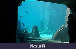 Click image for larger version

Name:	DSC05184.jpg
Views:	242
Size:	792.2 KB
ID:	125570