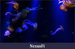 Click image for larger version

Name:	DSC05186.JPG
Views:	194
Size:	2.91 MB
ID:	125571