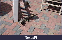 Click image for larger version

Name:	DSC05229.jpg
Views:	331
Size:	1.93 MB
ID:	125575