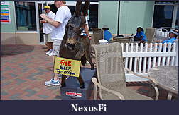 Click image for larger version

Name:	DSC05230.jpg
Views:	364
Size:	1.42 MB
ID:	125576