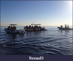 Click image for larger version

Name:	IMG_3417.JPG
Views:	370
Size:	2.41 MB
ID:	133919