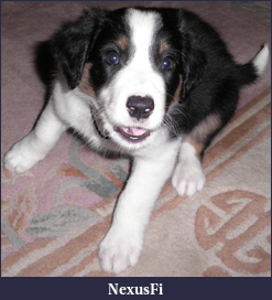 Click image for larger version

Name:	Max 2.5.png
Views:	208
Size:	3.45 MB
ID:	14584