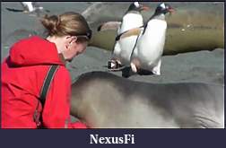 Click image for larger version

Name:	seal of approval.jpg
Views:	295
Size:	51.5 KB
ID:	16054