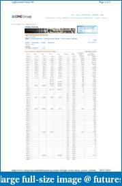 Safin's Trading Journal-www.cmegroup.com.com.pdf