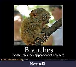 Click image for larger version

Name:	image013.jpg
Views:	198
Size:	32.9 KB
ID:	18905