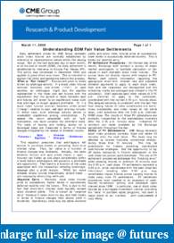 CME settlement price calculation-fairvaluesettlement_031109.pdf