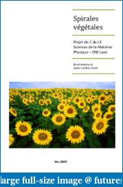 Are Fibonacci retracements and projections useful?-berut-antoine-lopes-cardozo-david-spirales-vegetales.pdf
