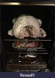 Click image for larger version

Name:	PreSmokedBird_smaller.jpg
Views:	246
Size:	999.4 KB
ID:	200369