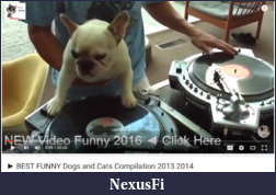 Click image for larger version

Name:	Dog_making_music_2016-04-27_1859.png
Views:	195
Size:	554.5 KB
ID:	207099