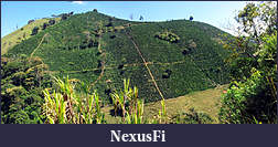 Click image for larger version

Name:	coffee hill of beans.jpg
Views:	342
Size:	449.6 KB
ID:	210213