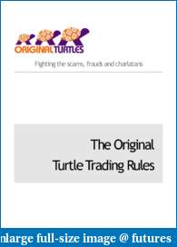 THE GAME-turtlerules.pdf