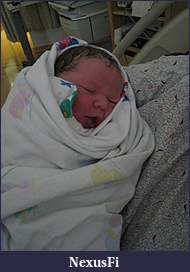 Click image for larger version

Name:	IMG_8983.JPG
Views:	283
Size:	1.97 MB
ID:	21327