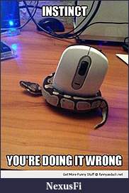 Click image for larger version

Name:	stupid serpant.jpg
Views:	198
Size:	16.9 KB
ID:	220518