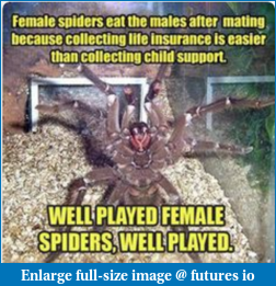 Click image for larger version

Name:	spiders.PNG
Views:	149
Size:	370.7 KB
ID:	220519