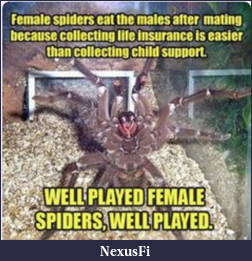 Click image for larger version

Name:	spiders.PNG
Views:	153
Size:	370.7 KB
ID:	220519