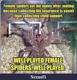 Click image for larger version

Name:	spiders.PNG
Views:	218
Size:	370.7 KB
ID:	220519