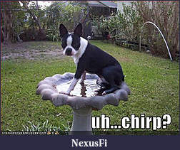 Click image for larger version

Name:	ATT00014141414.jpg
Views:	271
Size:	44.2 KB
ID:	2253