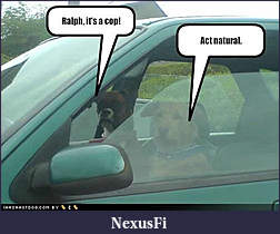 Click image for larger version

Name:	ATT00018181818.jpg
Views:	271
Size:	20.7 KB
ID:	2254