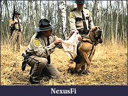 Click image for larger version

Name:	image0011.jpg
Views:	294
Size:	90.0 KB
ID:	2256