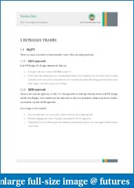 Trader Dale - intraday levels daily-position-management.pdf