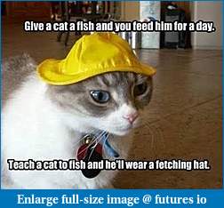 Click image for larger version

Name:	fish cat.jpg
Views:	201
Size:	20.3 KB
ID:	227508