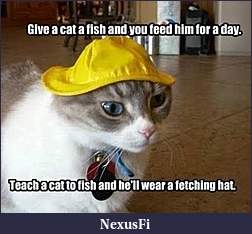 Click image for larger version

Name:	fish cat.jpg
Views:	206
Size:	20.3 KB
ID:	227508