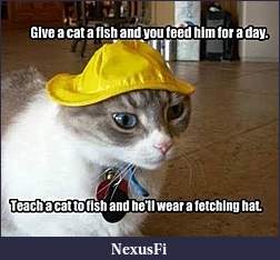 Click image for larger version

Name:	fish cat.jpg
Views:	280
Size:	20.3 KB
ID:	227508