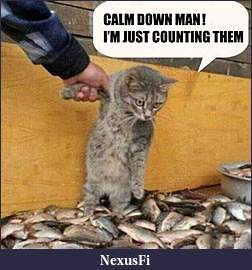 Click image for larger version

Name:	355168453-cat-humor-funny-calm-down-counting-fishes.jpg
Views:	213
Size:	40.7 KB
ID:	227510