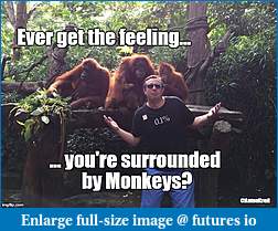 Click image for larger version

Name:	anton monkey.jpg
Views:	298
Size:	97.9 KB
ID:	234185