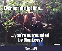 Click image for larger version

Name:	anton monkey.jpg
Views:	389
Size:	97.9 KB
ID:	234185