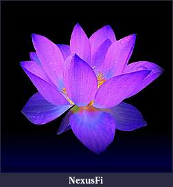 Click image for larger version

Name:	z lotus.jpg
Views:	273
Size:	45.0 KB
ID:	236722