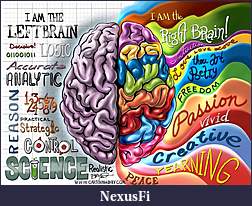 Click image for larger version

Name:	right-brain-left-brain.jpg
Views:	177
Size:	119.5 KB
ID:	238675