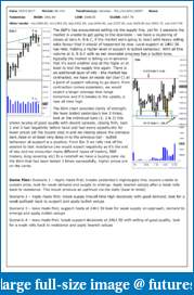 The S&amp;P Chronicles - An Amalgamation of Wyckoff, VSA and Price Action-es250717-1.pdf
