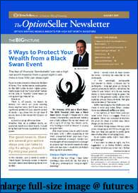 Diversified Option Selling Portfolio-os_august2017_eversion.pdf