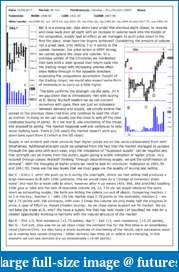 The S&amp;P Chronicles - An Amalgamation of Wyckoff, VSA and Price Action-es300817-1.pdf