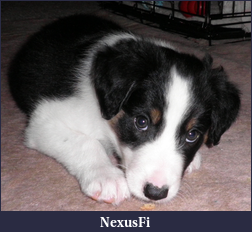 Click image for larger version

Name:	Im too cute.png
Views:	317
Size:	559.1 KB
ID:	24929