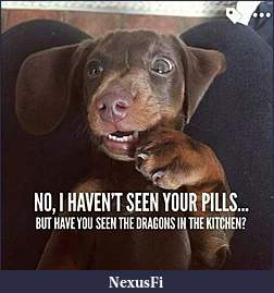 Click image for larger version

Name:	DragonsInTheKitchen.jpg
Views:	228
Size:	47.6 KB
ID:	250078