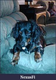 Click image for larger version

Name:	Dexter 2.JPG
Views:	322
Size:	398.8 KB
ID:	25036