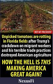 Click image for larger version

Name:	CropsRottingInTheFields.jpg
Views:	269
Size:	123.5 KB
ID:	251158