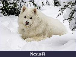 Click image for larger version

Name:	_DSC9224b.jpg
Views:	271
Size:	1.12 MB
ID:	259586