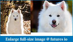 Click image for larger version

Name:	Pups.jpg
Views:	210
Size:	221.0 KB
ID:	259588