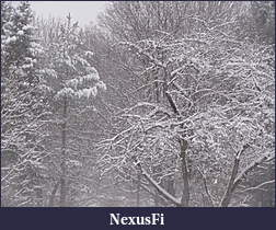 Click image for larger version

Name:	Picture 107.jpg
Views:	273
Size:	3.61 MB
ID:	26071